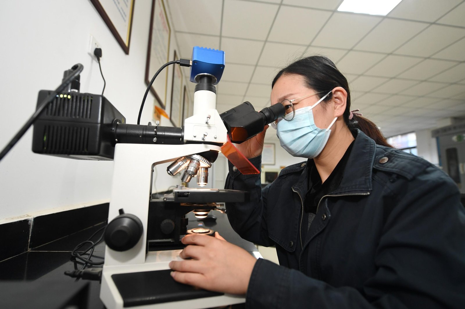 Raw Material Inspection